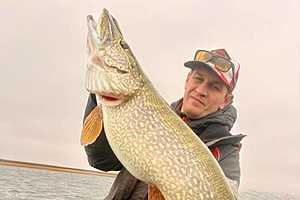 Фото: Александр Ляшенко