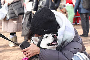 Фото: Дмитрий Рогулин / "Городские вести"