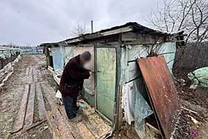 Фото: ГУ МВД по Волгоградской области