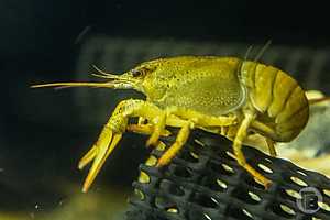 Фото: Дмитрий Рогулин / "Городские вести"