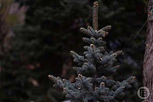 Фото: «Городские вести»