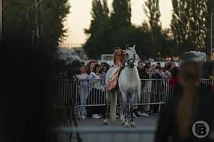 Фото: Дмитрий Рогулин/"Городские вести"