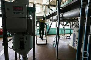 фото: Дмитрий Рогулин / "Городские вести"