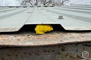 Фото: ГУ МВД по Волгоградской области