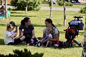 Фото: Дмитрий Рогулин / "Городские вести"