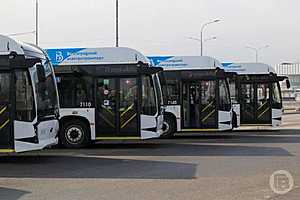 Фото: Дмитрий Рогулин / "Городские вести"