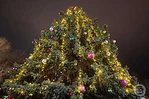 фото: Дмитрий Рогулин / "Городские вести"