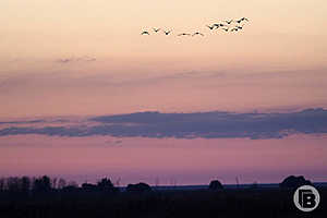 Фото: Дмитрий Рогулин / "Городские вести"