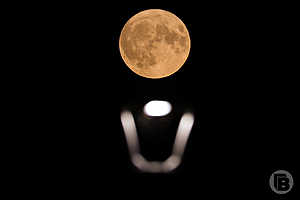 Фото: Дмитрий Рогулин / «Городские вести»