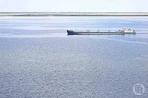 Фото: Дмитрий Рогулин / "Городские вести"