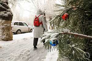 Фото: Дмитрий Рогулин/"Городские вести"