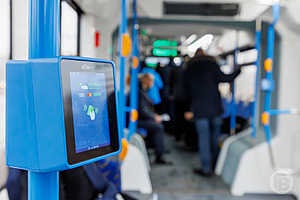 Фото: Дмитрий Рогулин / «Городские вести»