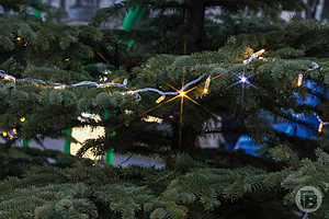 Фото: Дмитрий Рогулин / «Городские вести»