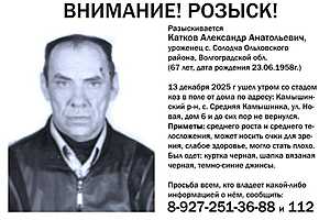 Фото предоставлено пабликом "Жесть. Камышин"