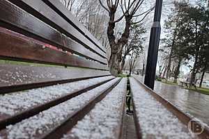 Фото: Дмитрий Рогулин/"Городские вести"