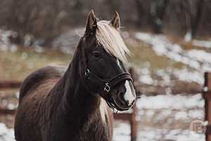 Фото: "Городские вести"