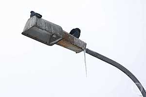 Фото: Дмитрий Рогулин / "Городские вести"