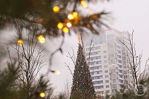 Фото: Дмитрий Рогулин / «Городские вести»