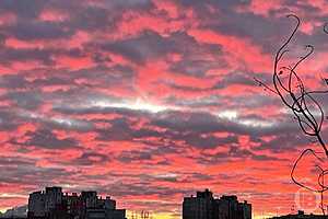 Фото: "Городские вести"