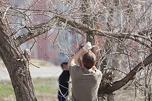 Фото: Данил Савченко / "Городские вести"