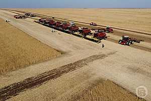 фото: Дмитрий Рогулин / "Городские вести"