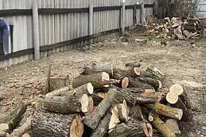 Фото: ГУ МВД России по Волгоградской области