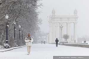 Фото: Олег Димитров / "Городские вести"