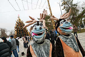Фото: Дмитрий Рогулин / "Городские вести"