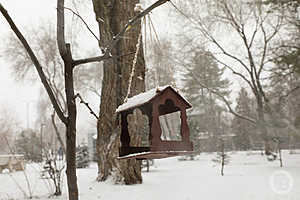 Фото: Дмитрий Рогулин / "Городские вести"
