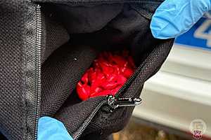 Фото: ГУ МВД по Волгоградской области