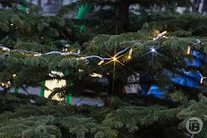 Фото: Дмитрий Рогулин / "Городские вести"