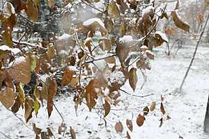 Фото: Дмитрий Рогулин / "Городские вести"