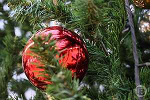 Фото: Дмитрий Рогулин / "Городские вести"