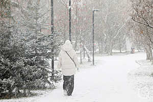 Фото: Дмитрий Рогулин / «Городские вести»