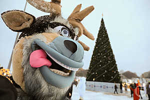 Фото: Дмитрий Рогулин / «Городские вести»