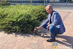 Фото: "Волжская правда"