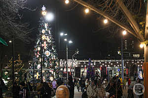 Фото: Дмитрий Рогулин / "Городские вести"