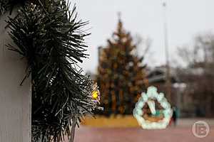 Фото: Дмитрий Рогулин / "Городские вести"