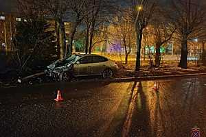 Фото: ГУ МВД по Волгоградской области