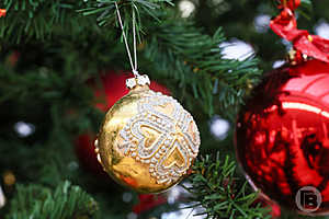 Фото: Дмитрий Рогулин / "Городские вести"