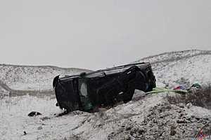 Фото: ГУ МВД по Волгоградской области