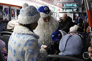 Фото: Дмитрий Рогулин / "Городские вести"