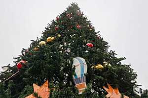 Фото: Дмитрий Рогулин / "Городские вести"