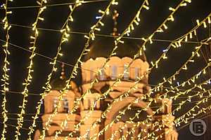 Фото: Дмитрий Рогулин / "Городские вести"