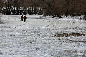 Фото: Дмитрий Рогулин / "Городские вести"