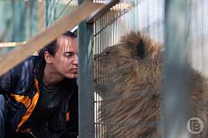 фото: Данил Савченко / "Городские вести"