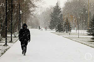 фото: Дмитрий Рогулин / "Городские вести"