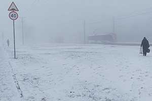 Фото: Читатели "Городских вестей"