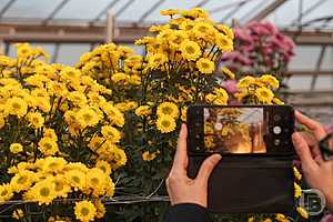 Фото: Дмитрий Рогулин / "Городские вести"