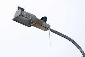 Фото: Дмитрий Рогулин / "Городские вести"